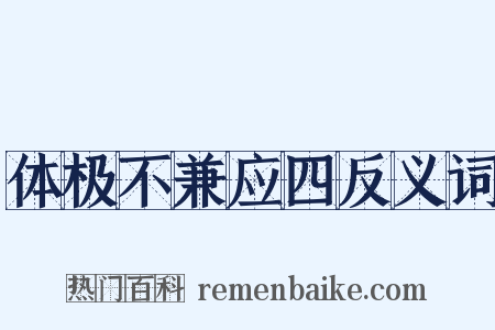 体极不兼应四反义词是什么意思的图片